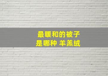 最暖和的被子是哪种 羊羔绒